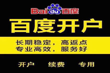 行业领先！某某sem推广公司助力某品牌实现业绩翻倍